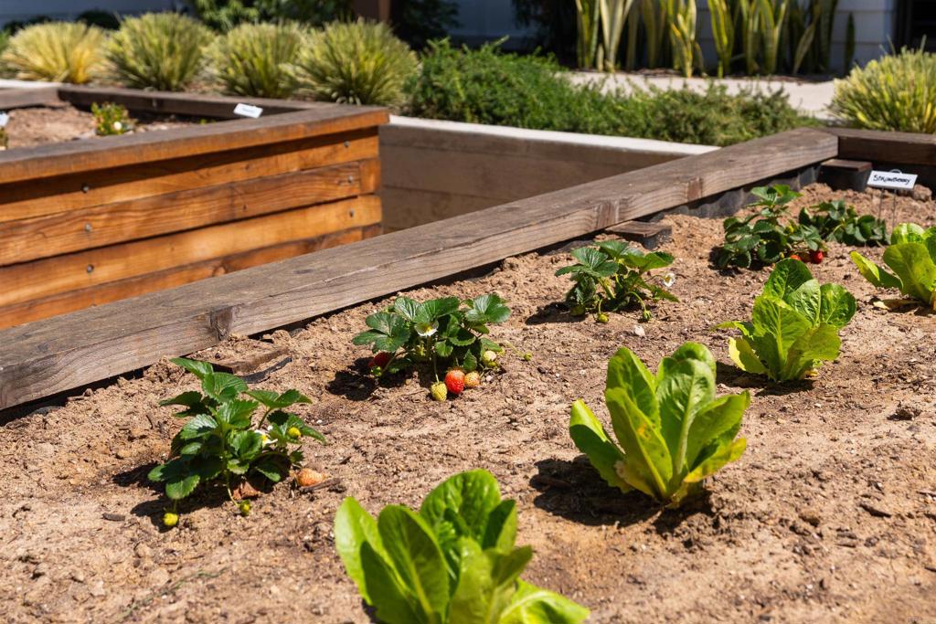 1602 San Remo Place, Unit 201 Encinitas, CA 92024 - Photo 38 of 56 a view of a garden with flowers