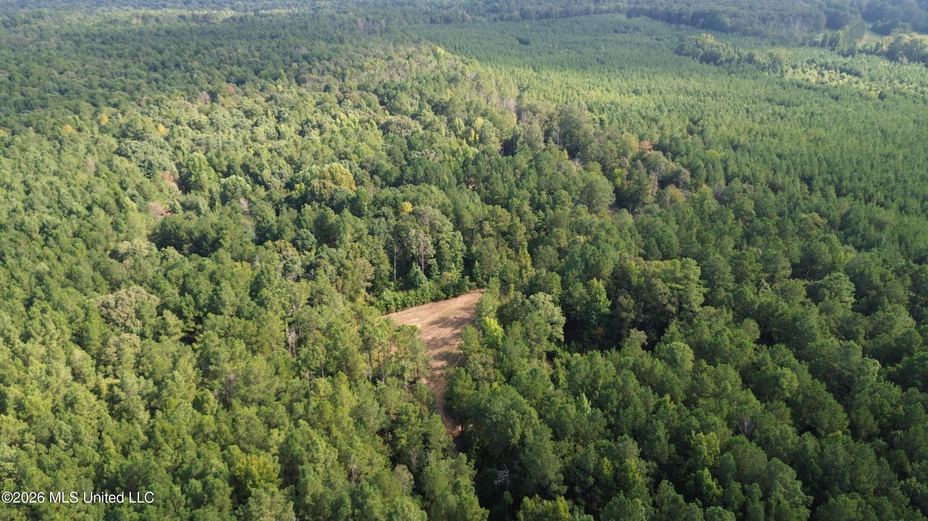11330 Ms-429 Carthage, MS 39051 - Photo 76 of 128 DJI_0619