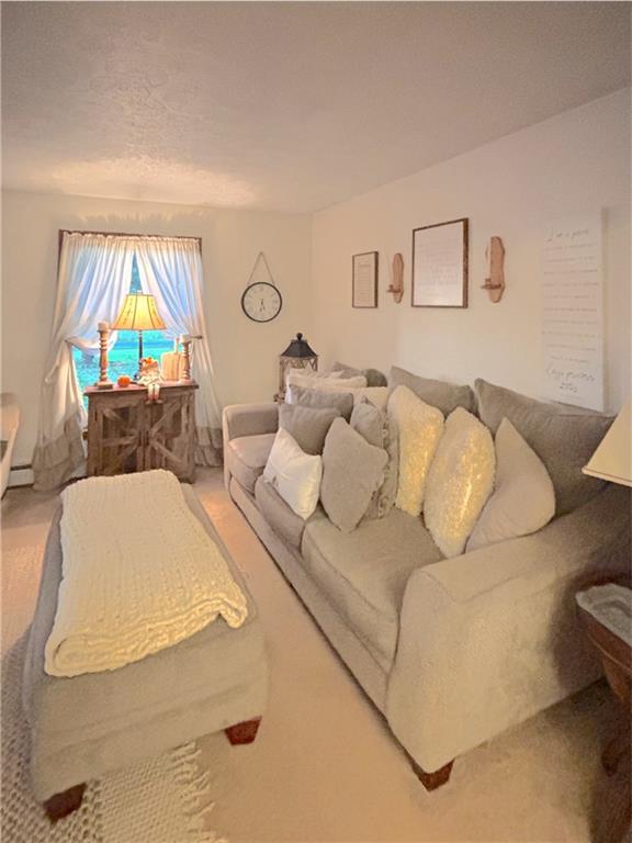 1993 Mercer West Middlesex Road Mercer, PA 16137 - Photo 21 of 27 a living room with a couch and a table