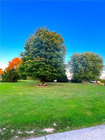 a view of a grassy field with trees