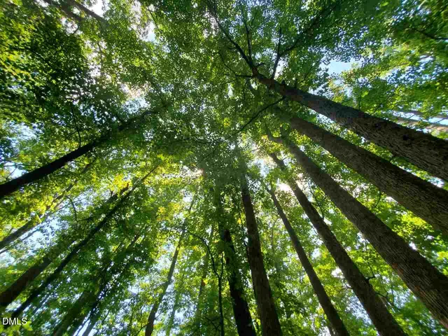 $2,300 | 456 Claremont Drive, Chapel Hill, NC 27516