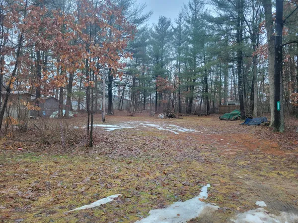 $229,000 | 8650 Paw Paw Trail, Howard City, MI 49329