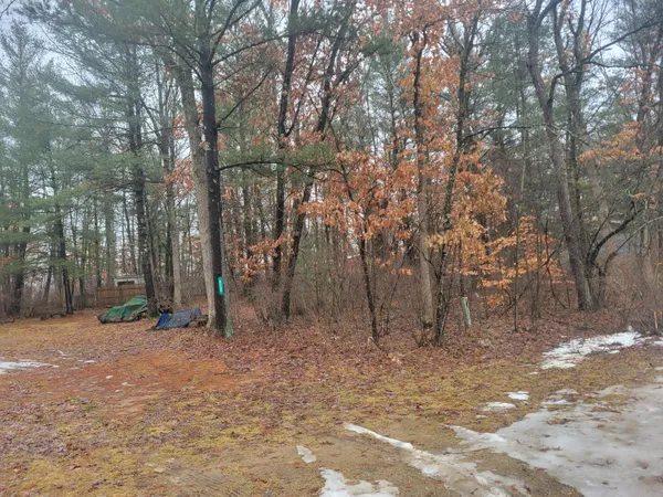 $229,000 | 8650 Paw Paw Trail, Howard City, MI 49329