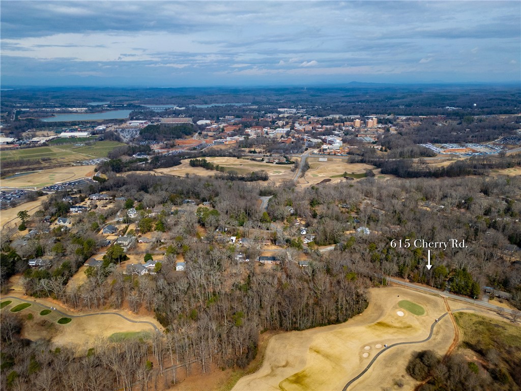 615 Cherry Road Clemson, SC 29631 - Photo 20 of 30