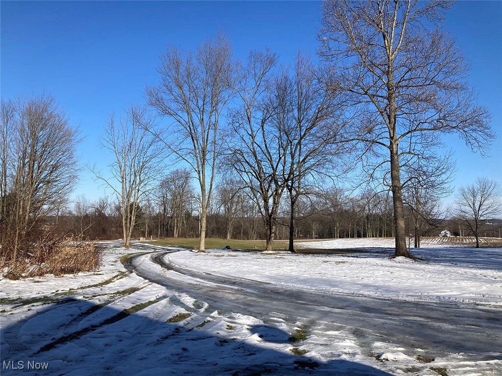 3718 Babcock Road Williamsfield, OH 44093 - Photo 12 of 31 View of road