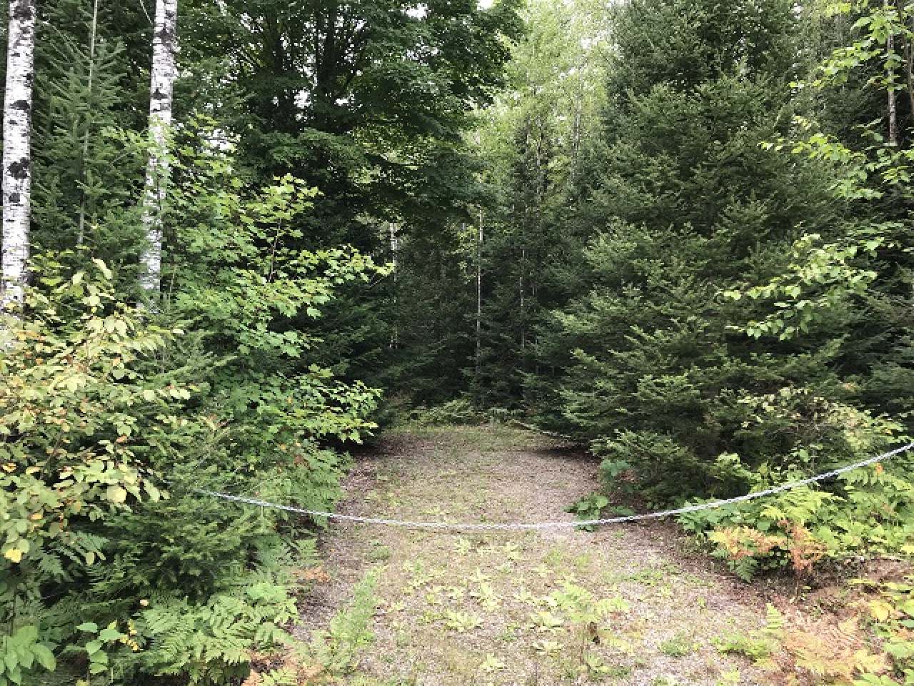 Lot 36 Nathan Pass Mercer, WI 54547 - Photo 3 of 71 Gallery Image 3