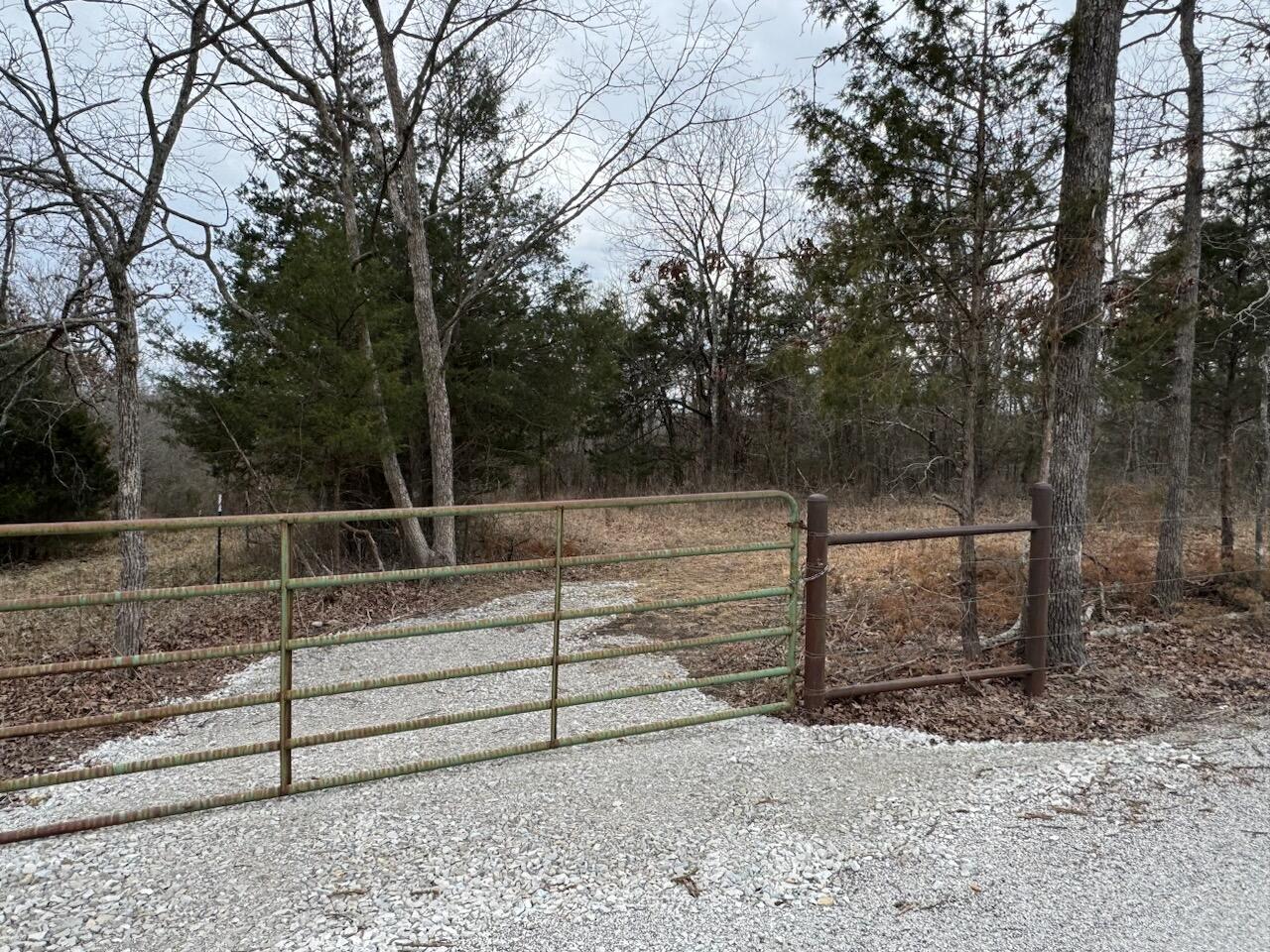 85-ac Burmingham Road Forsyth, MO 65653 - Photo 2 of 13 IMG_7228