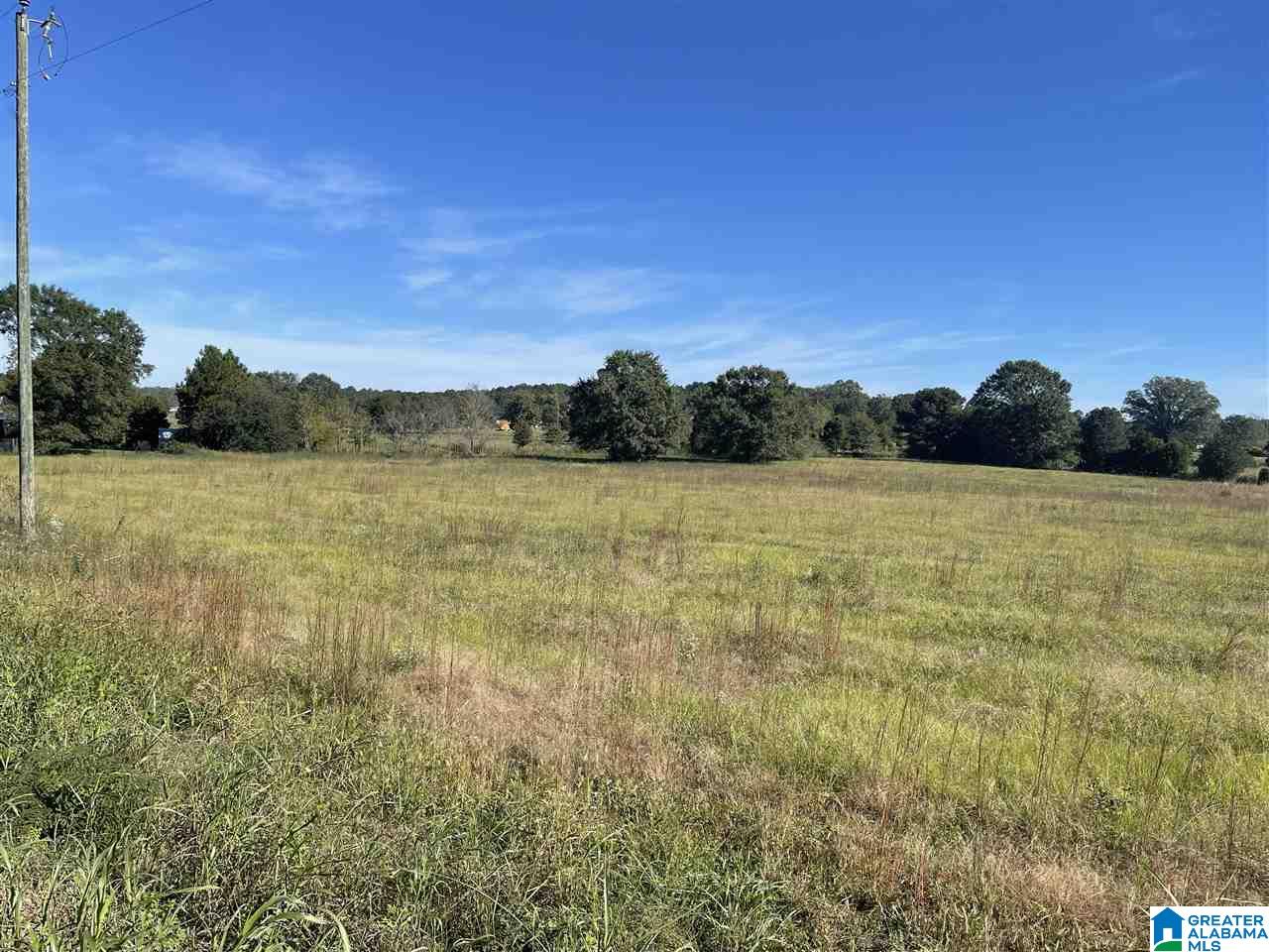 615-635 Watson Road, Unit 2 & 3 Cropwell, AL 35054 - Photo 9 of 13
