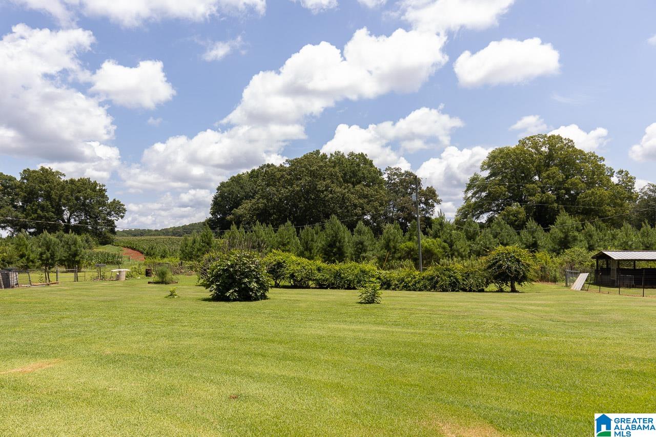521 Chastain Road Talladega, AL 35160 - Photo 70 of 72