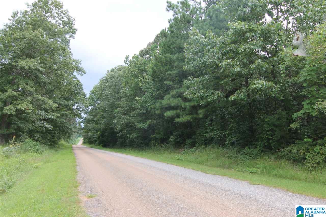 3475 County Road 29, Unit 70± ACRES Heflin, AL 36264 - Photo 2 of 6