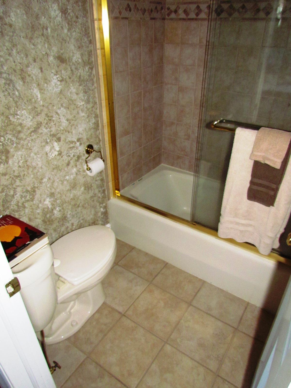 291 Robin Hood Road Bassett, VA 24055 - Photo 28 of 54 Bath Full #2.