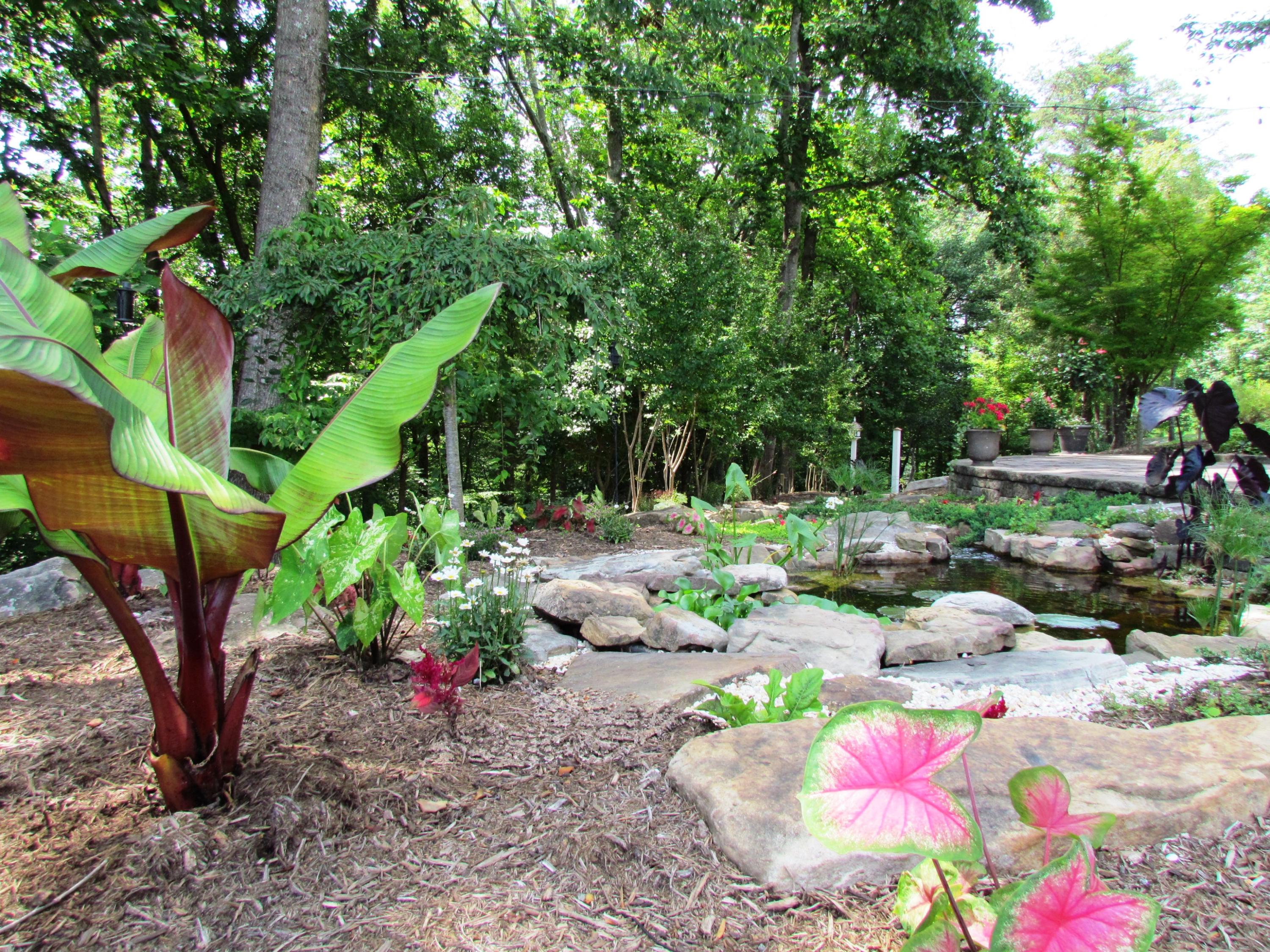 291 Robin Hood Road Bassett, VA 24055 - Photo 43 of 54 Flower Garden & Waterfall