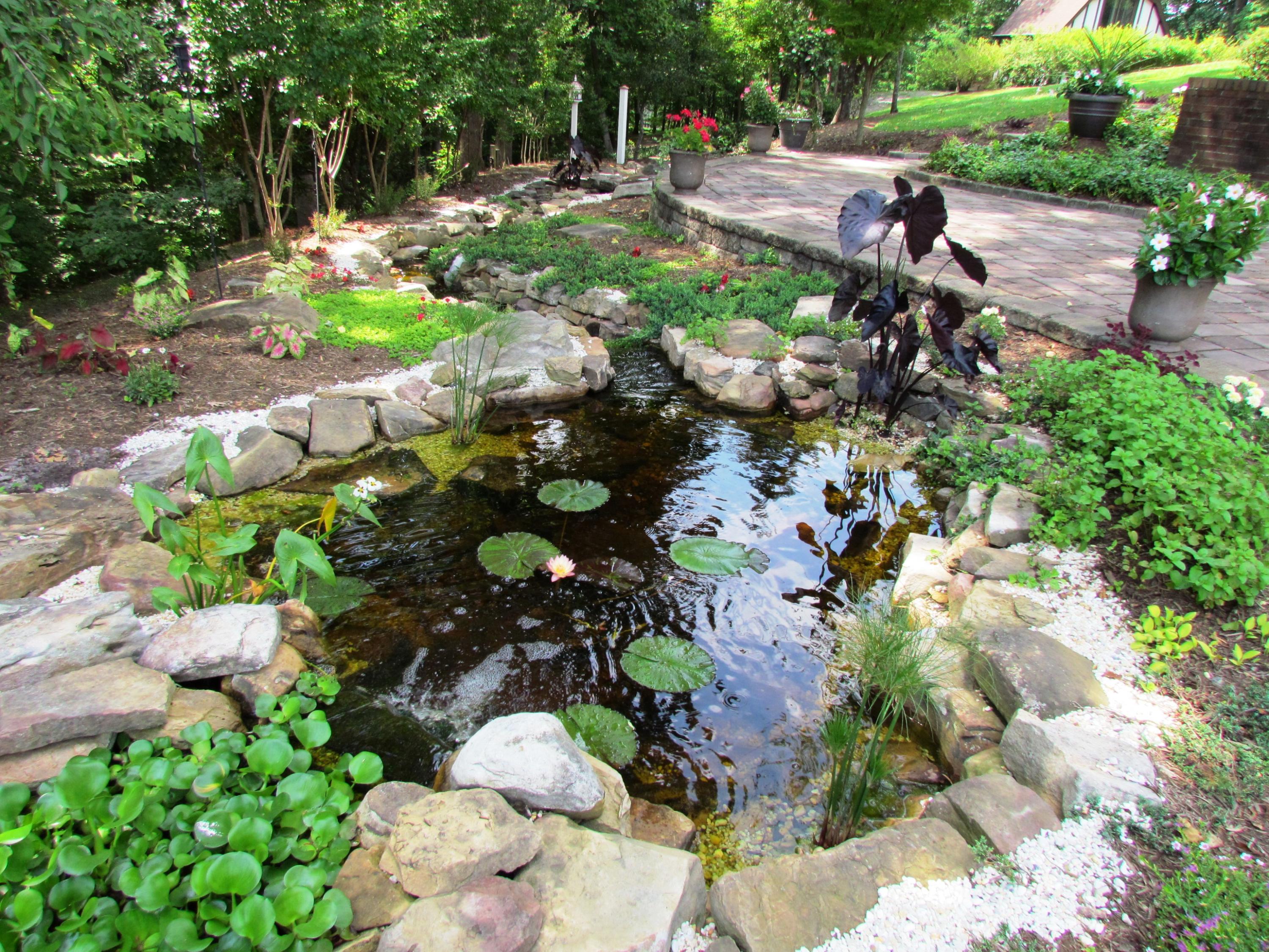 291 Robin Hood Road Bassett, VA 24055 - Photo 45 of 54 Waterfall & Garden