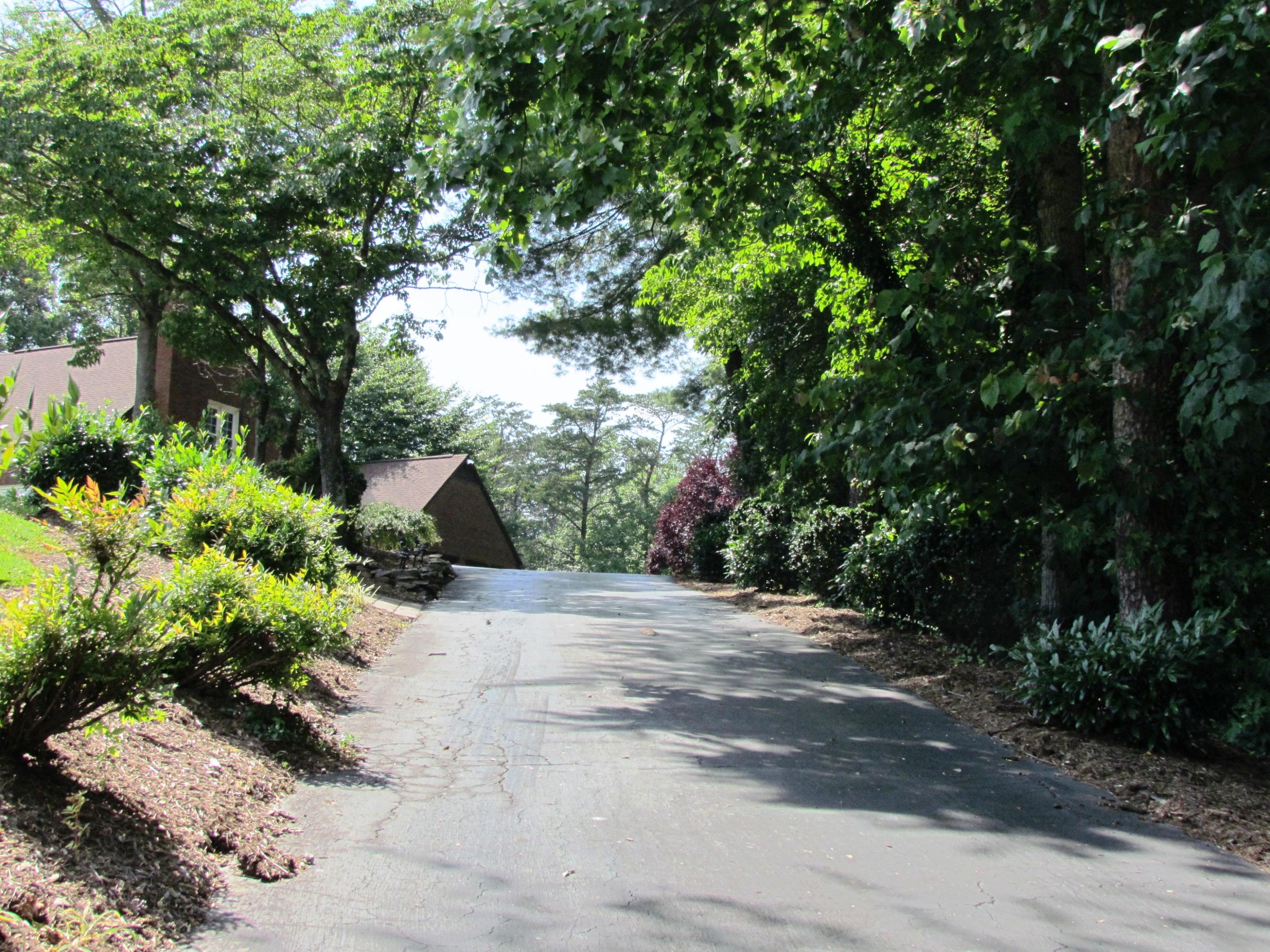 291 Robin Hood Road Bassett, VA 24055 - Photo 49 of 54 Driveway Entry
