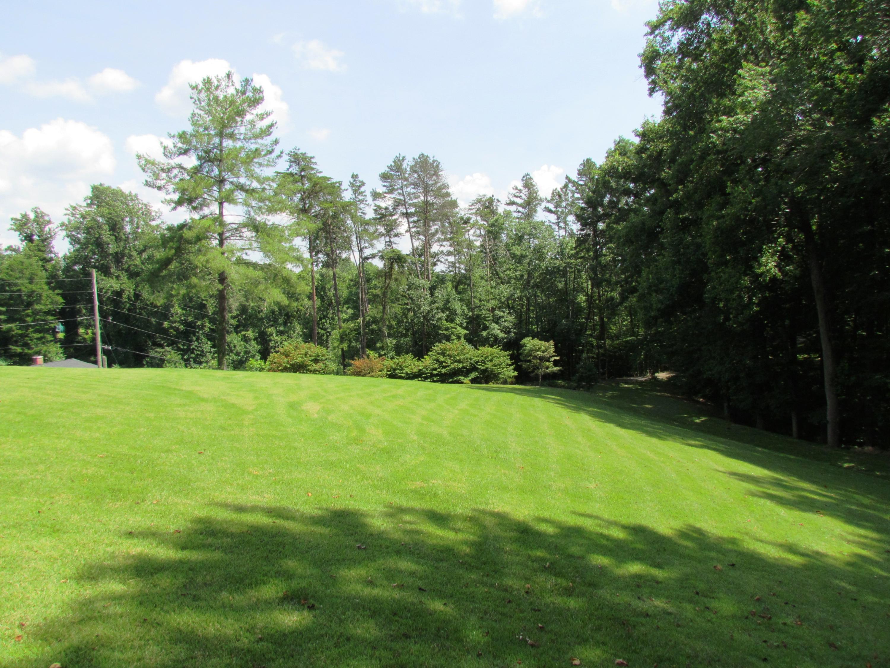 291 Robin Hood Road Bassett, VA 24055 - Photo 53 of 54 Side Yard