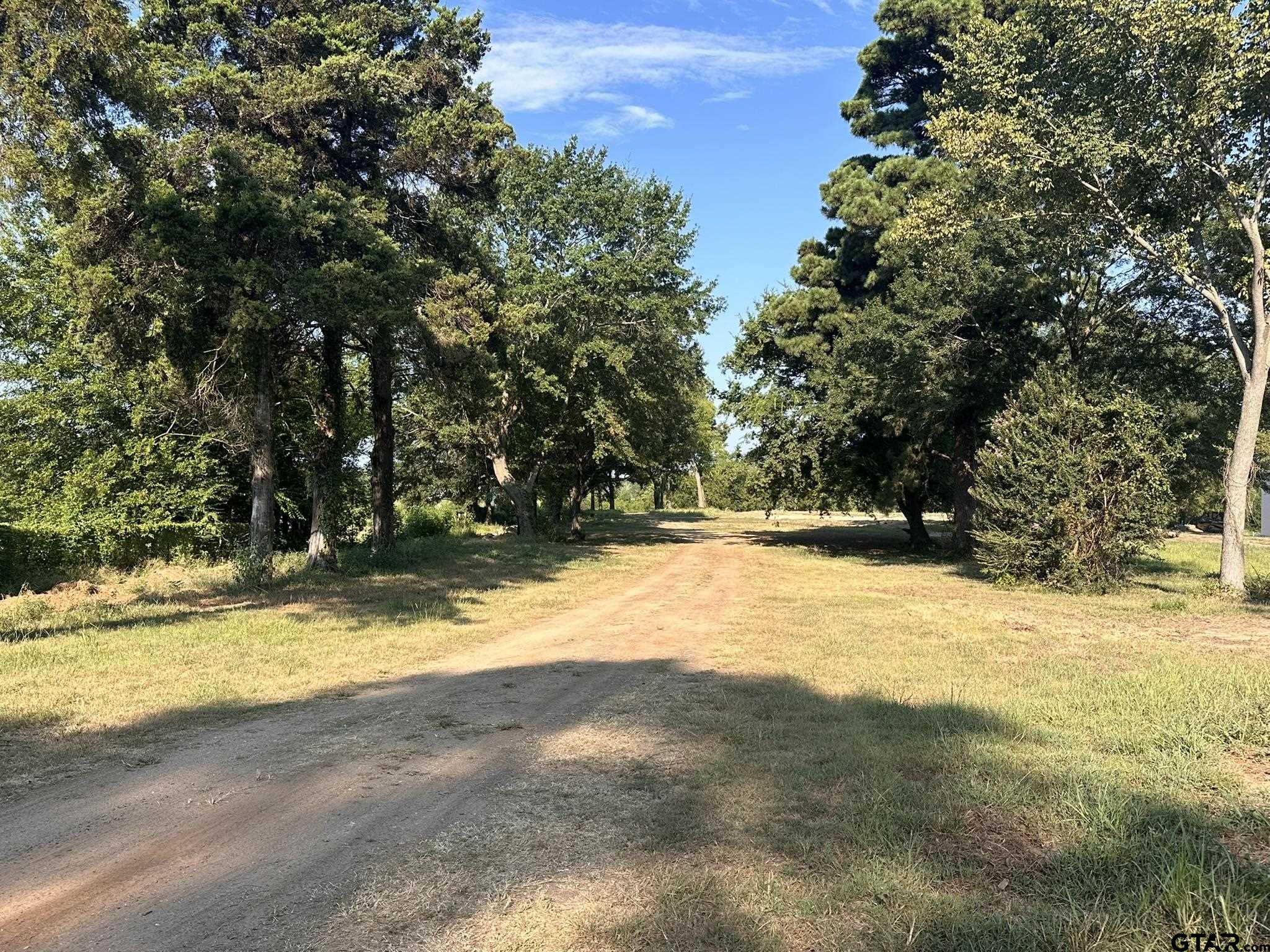 a view of yard with trees