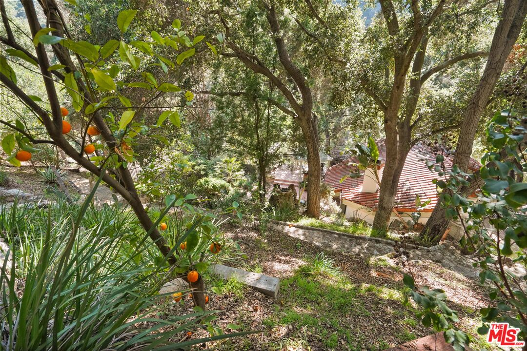 964 Old Topanga Canyon Road Topanga, CA 90290 - Photo 43 of 75