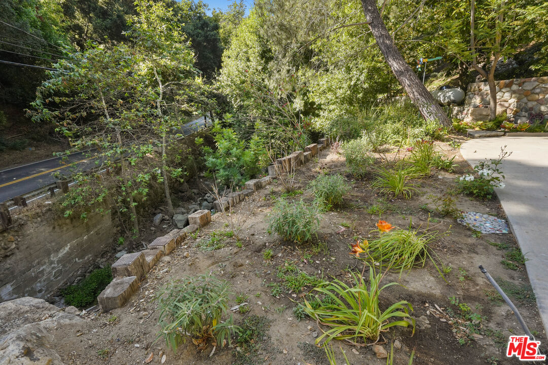 964 Old Topanga Canyon Road Topanga, CA 90290 - Photo 51 of 75 a picture of trees