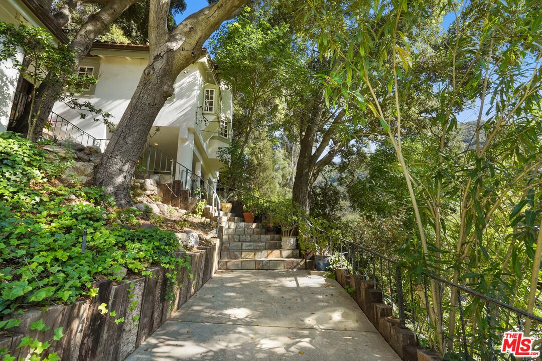 964 Old Topanga Canyon Road Topanga, CA 90290 - Photo 57 of 75 a view of a yard with plants and trees