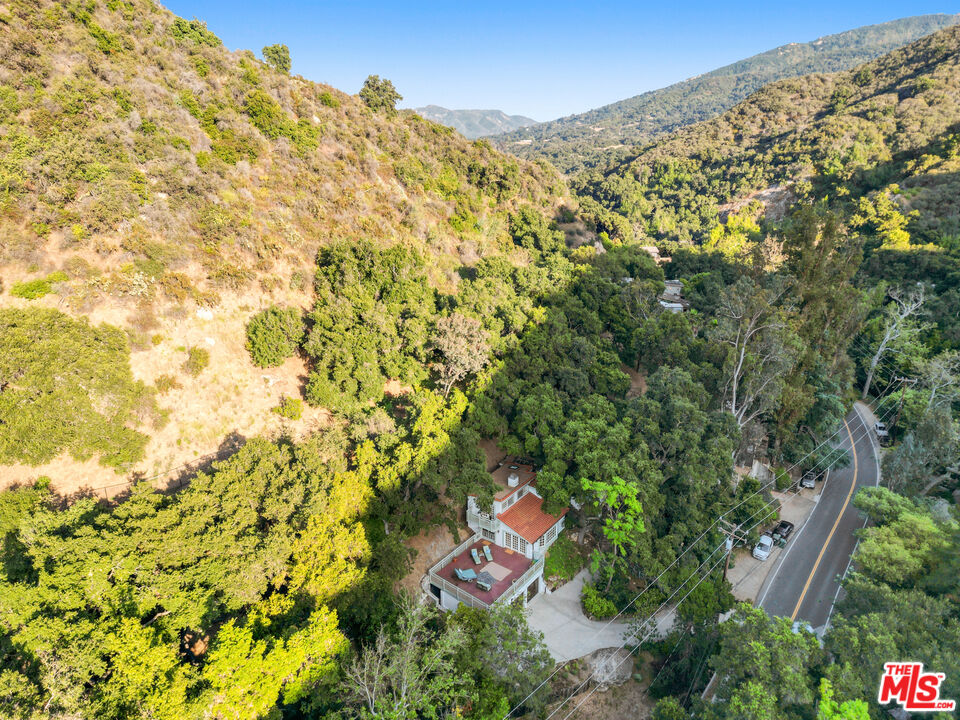 964 Old Topanga Canyon Road Topanga, CA 90290 - Photo 74 of 75 a view of a large yard with lots of trees