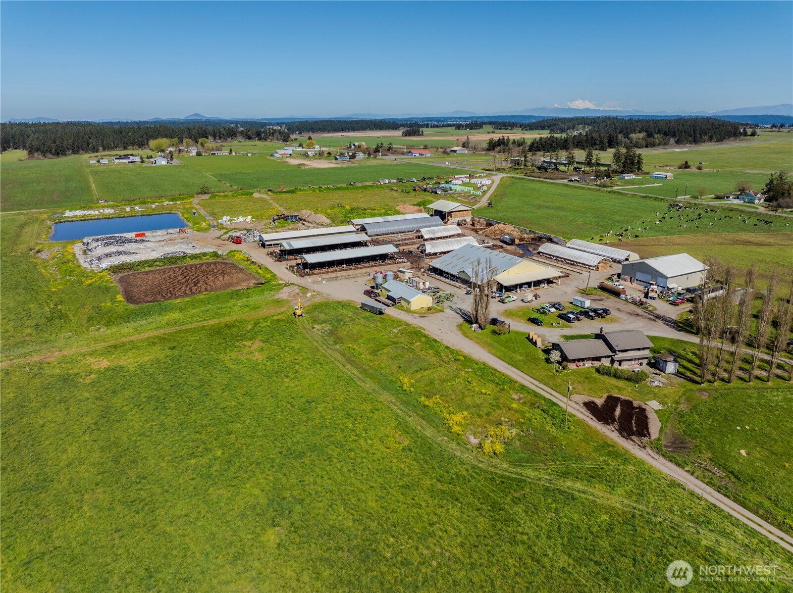 1240 Arnold Road Oak Harbor, WA 98277 - Photo 5 of 38 Gallery Image 5