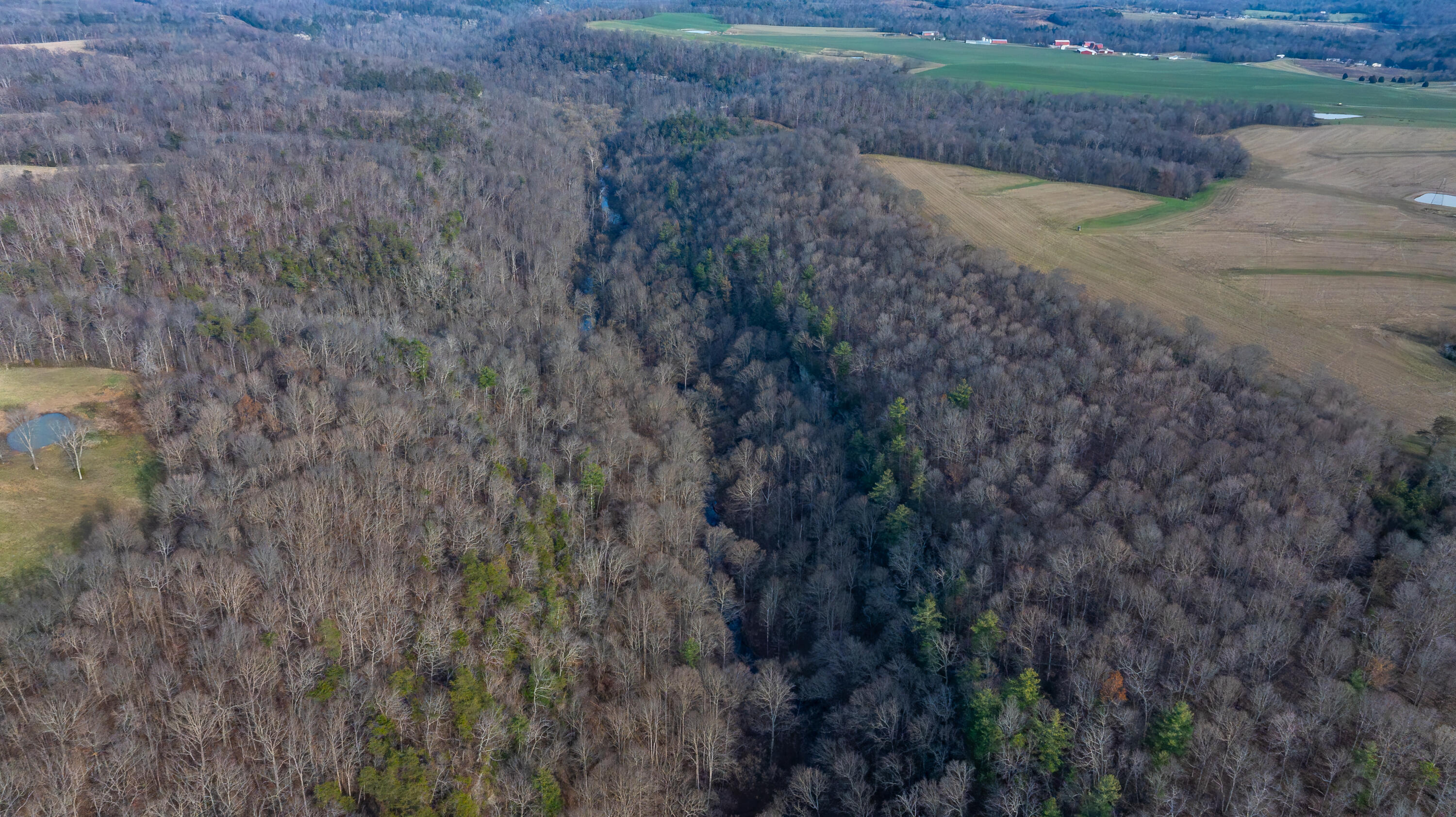 0 Coal Bank Road Sharon Grove, KY 42280 - Photo 9 of 16 DJI_20251212142312_0176_D-HDR