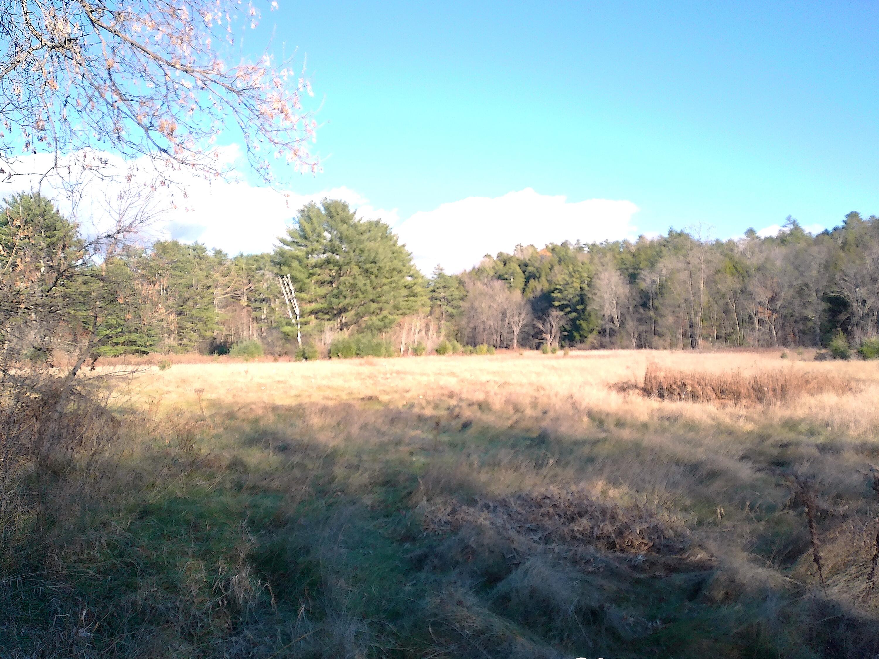 1806 County Rte 10 Lewis, NY 12993 - Photo 22 of 24 Gallery Image 22