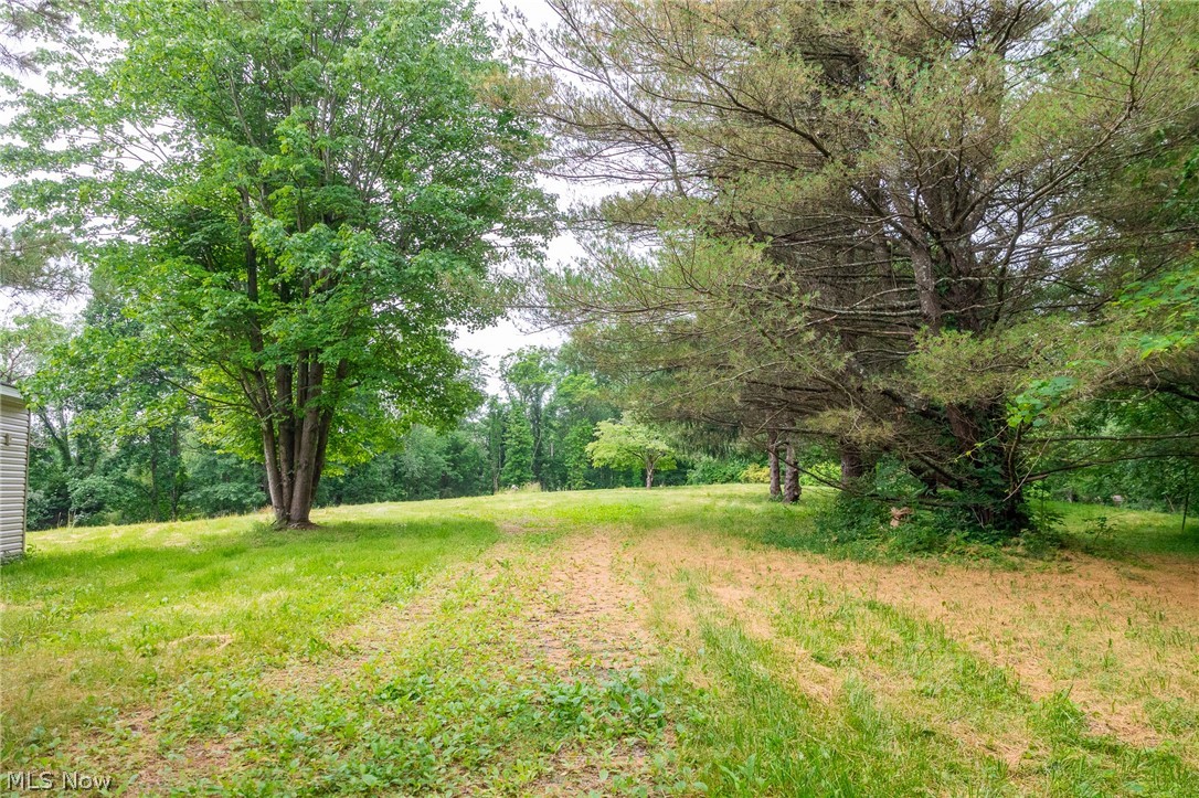74333 Irish Ridge Road Kimbolton, OH 43749 - Photo 11 of 19