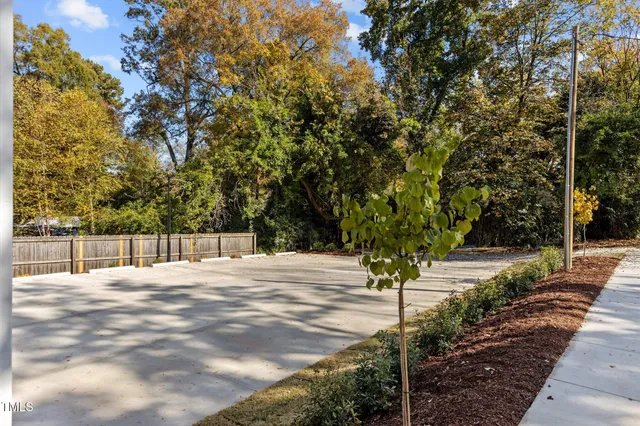 a street view with yard