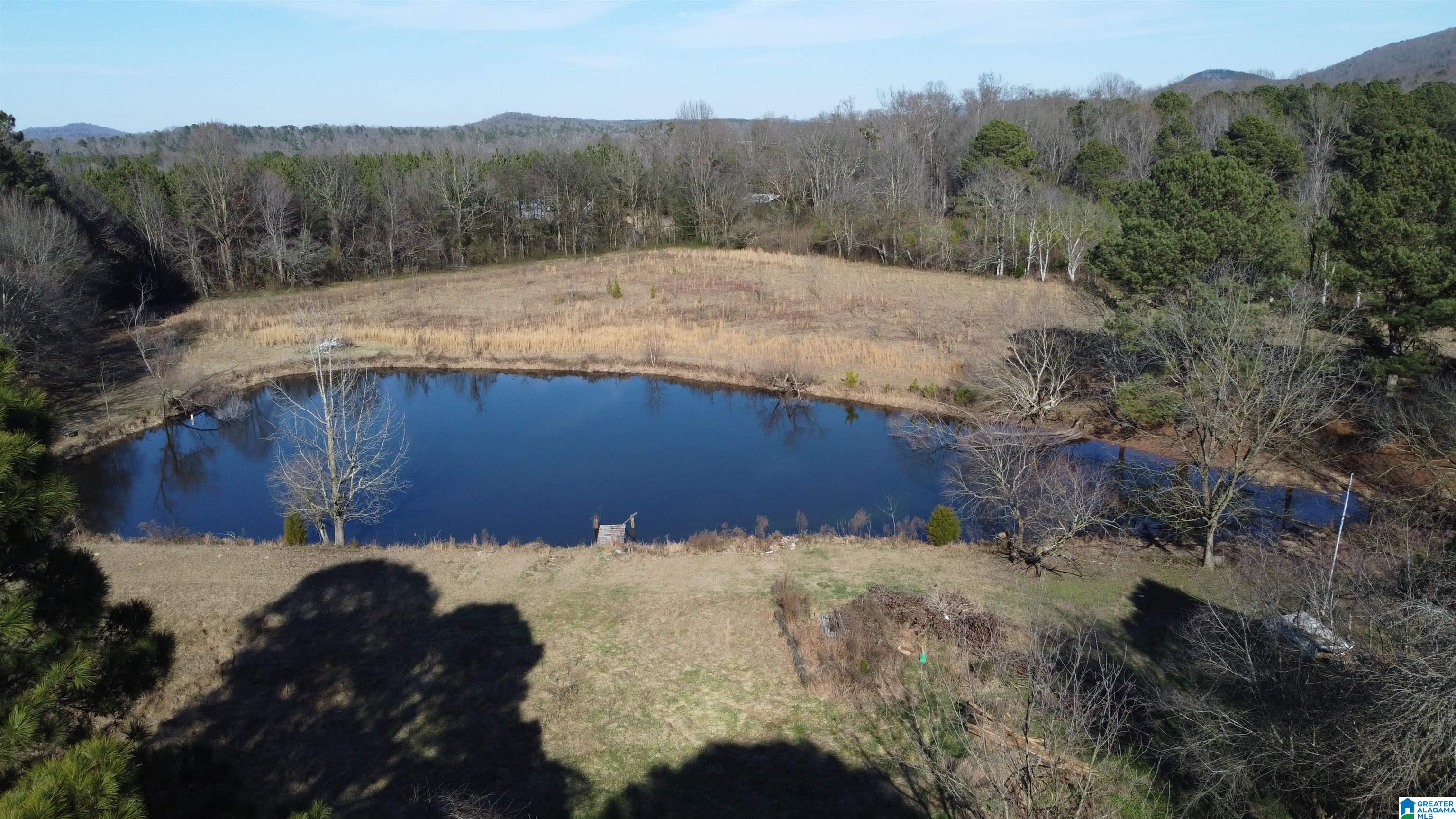2879 Kelly Creek Road Odenville, AL 35120 - Photo 9 of 25