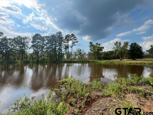 38-acres Off Watson Road Kilgore, TX 75662 - Photo 32 of 38