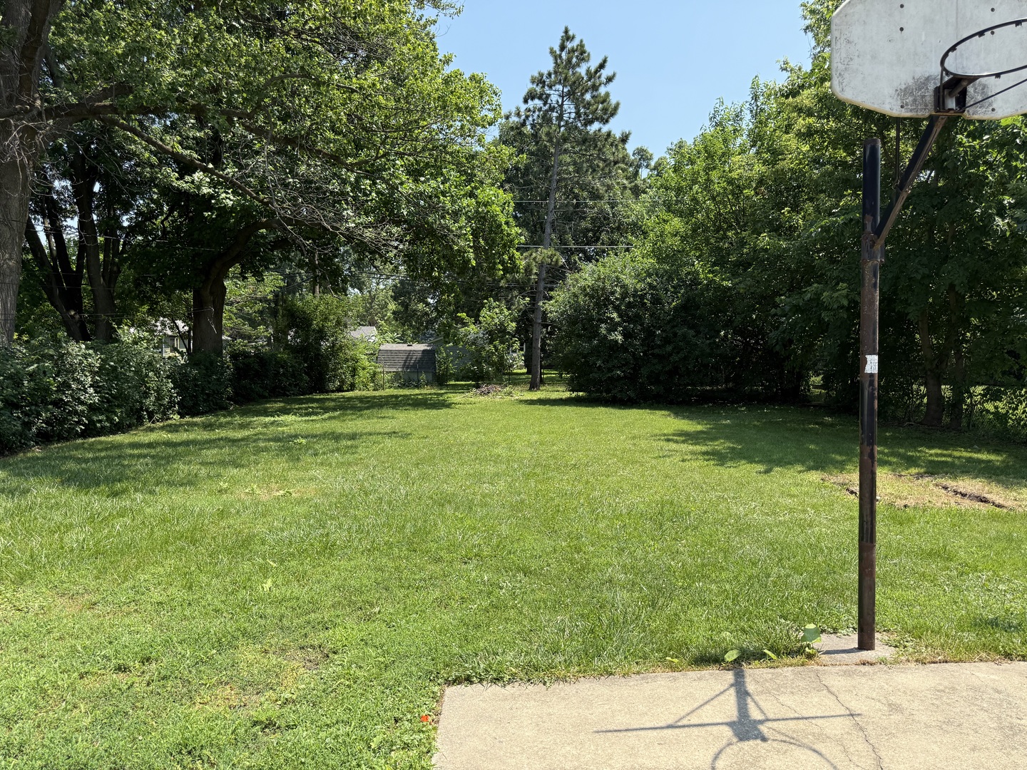 29 Roslyn Road Westmont, IL 60559 - Photo 11 of 11 a backyard of a house with lots of green space