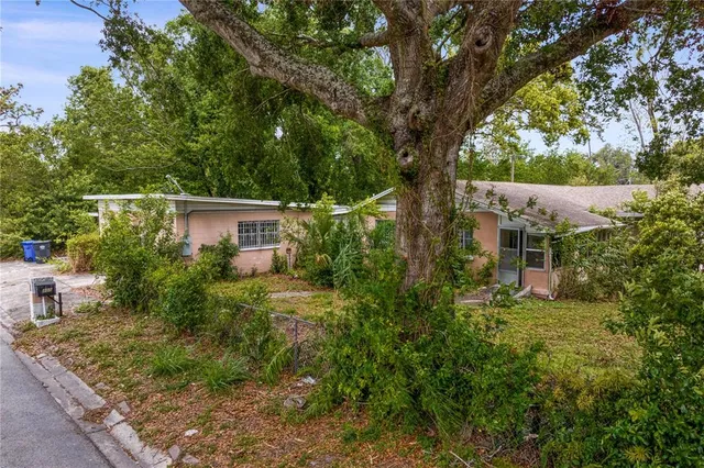 a backyard of a house with plants and large trees