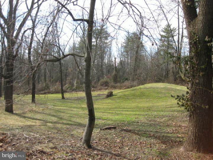 1754 Old York Road Warminster, PA 18974 - Photo 14 of 16 Exterior Back