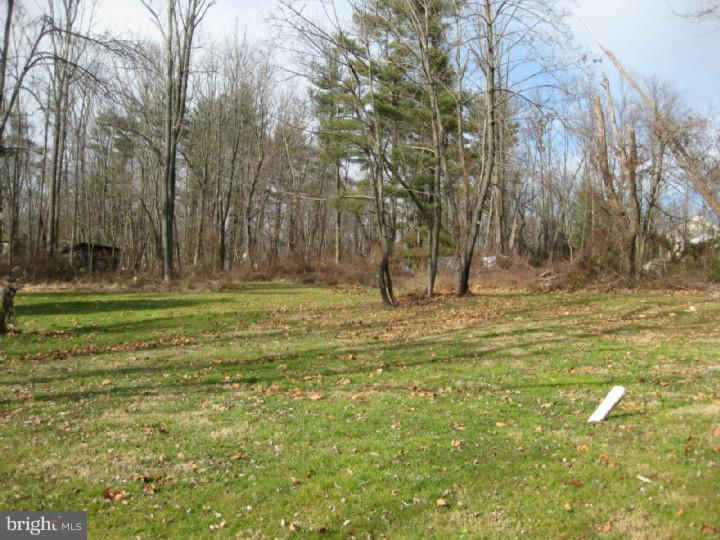 1754 Old York Road Warminster, PA 18974 - Photo 15 of 16 Exterior Back