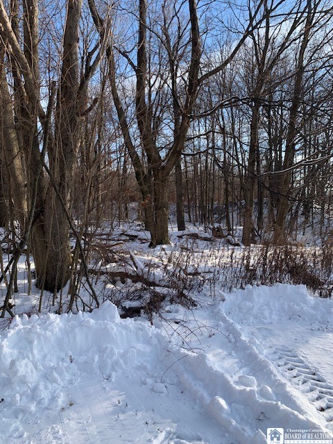 2775 King Road Sheridan, NY 14062 - Photo 31 of 33 Woods