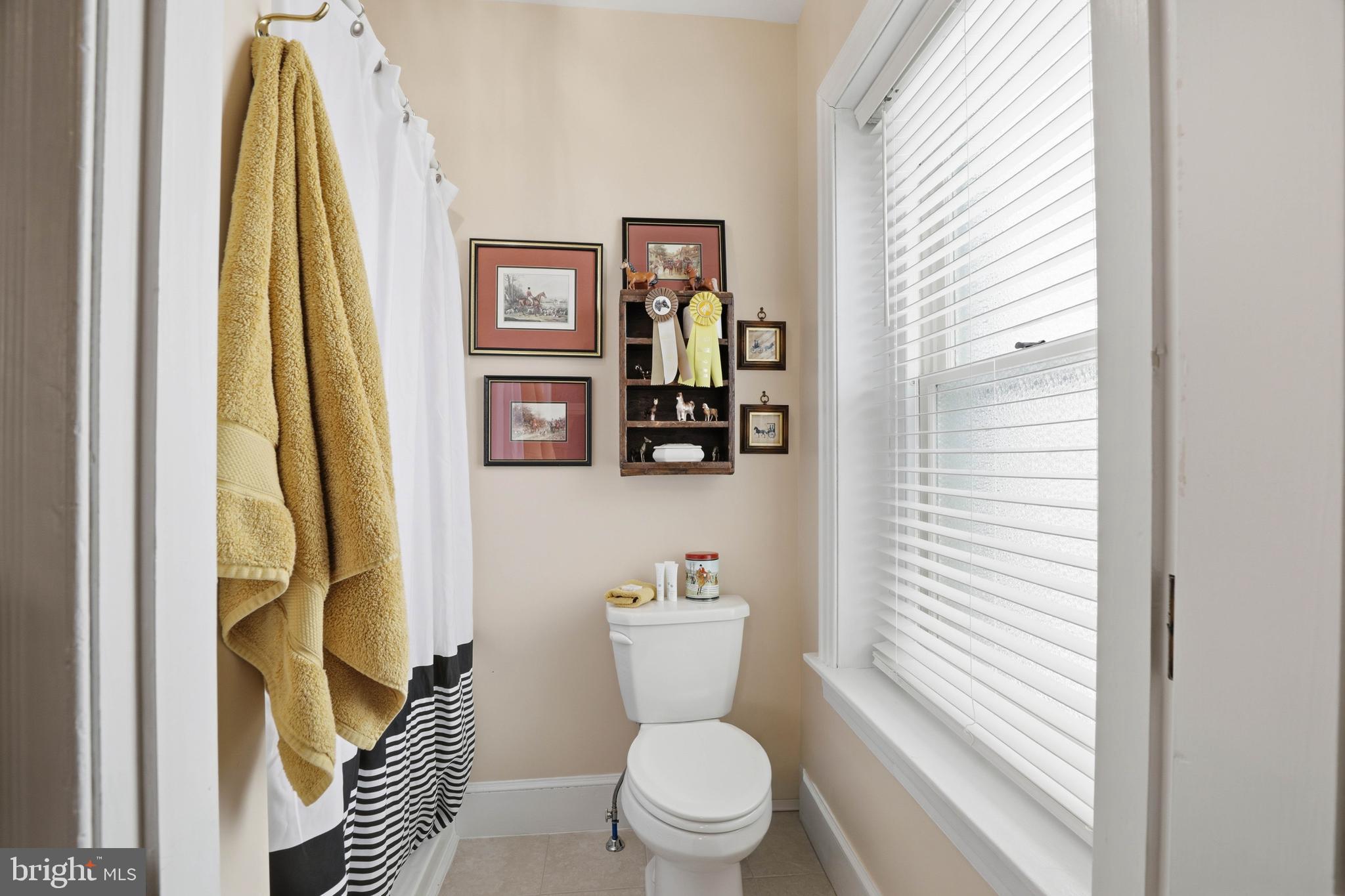 252 Frederick Street Hanover, PA 17331 - Photo 51 of 107