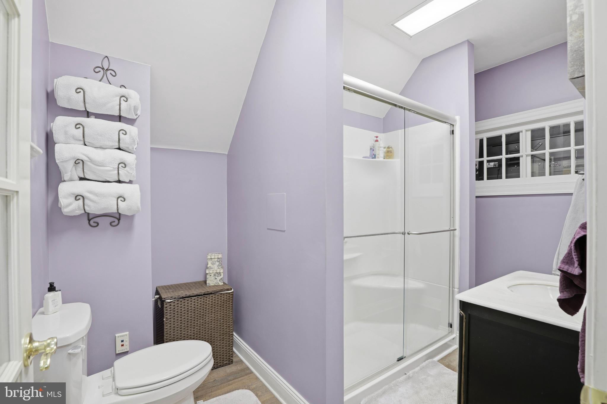 252 Frederick Street Hanover, PA 17331 - Photo 58 of 107 a bathroom with a sink a toilet and shower