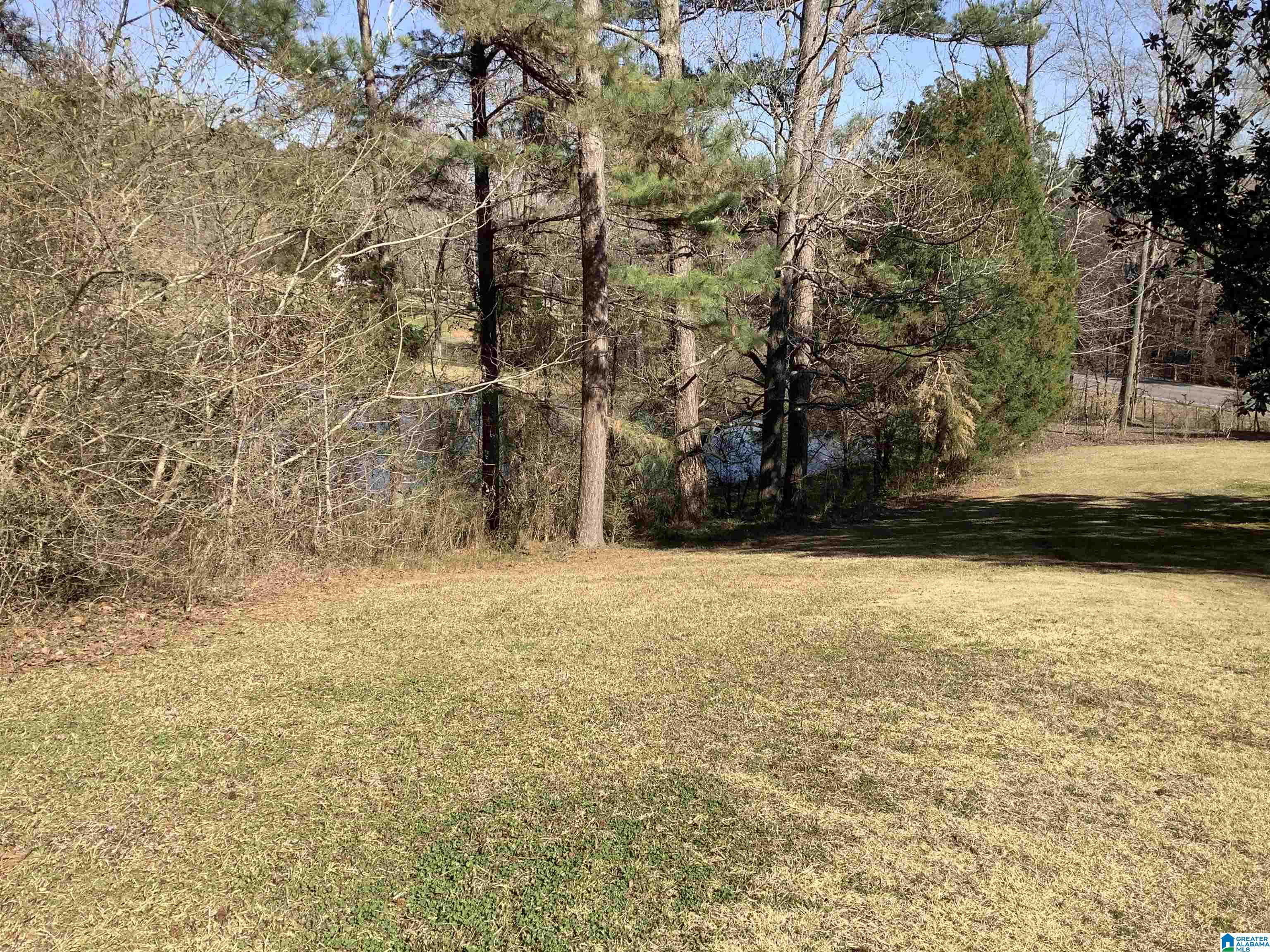 9469 Highway 11 Springville, AL 35146 - Photo 19 of 29