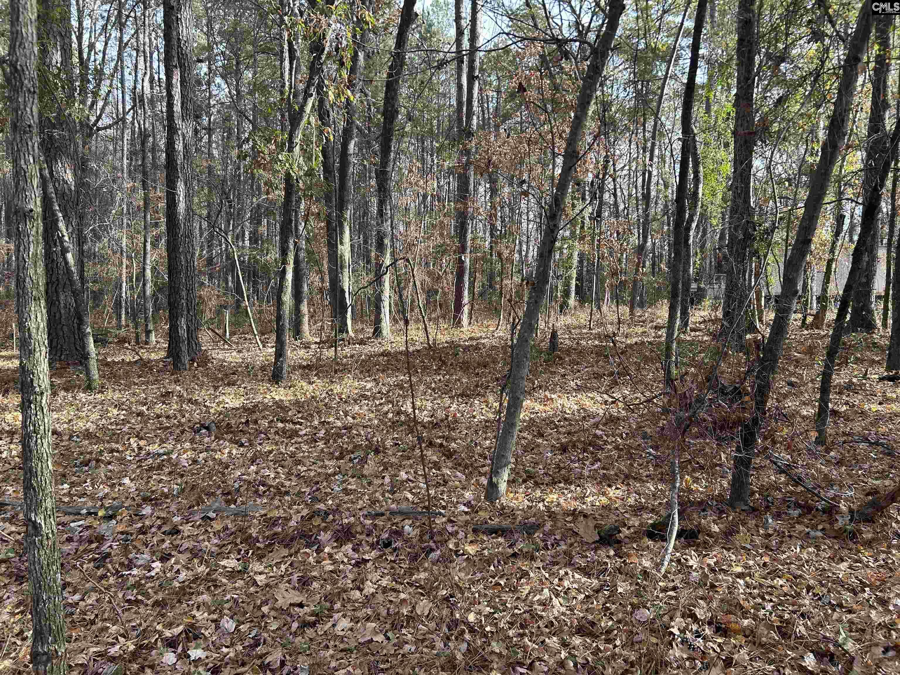 440 Paschal Road Elgin, SC 29045 - Photo 22 of 23
