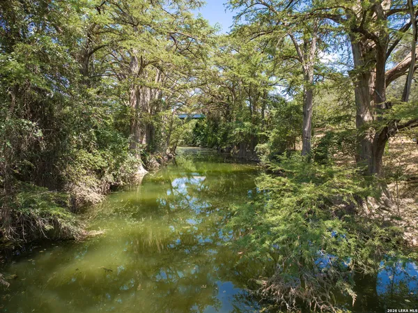 a view of a yard