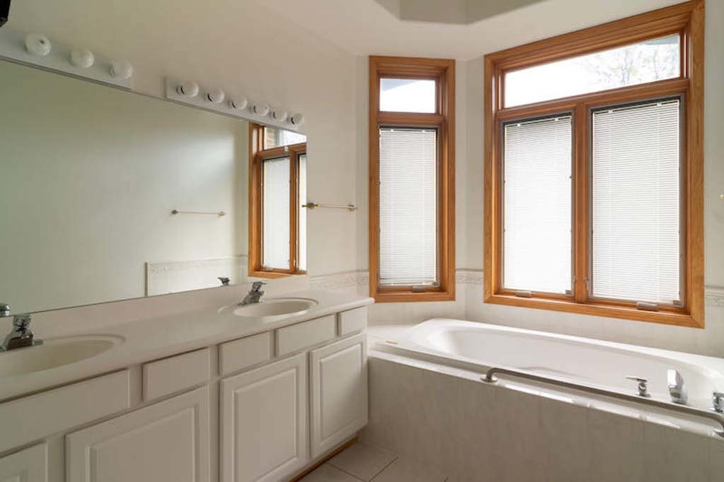 922 West Chesterfield Court Palatine, IL 60067 - Photo 16 of 19 a bathroom with a tub a sink and a window