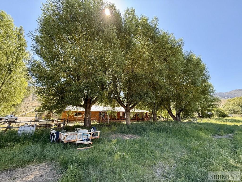 4 Mule View Lane North Fork, ID 83466 - Photo 4 of 53