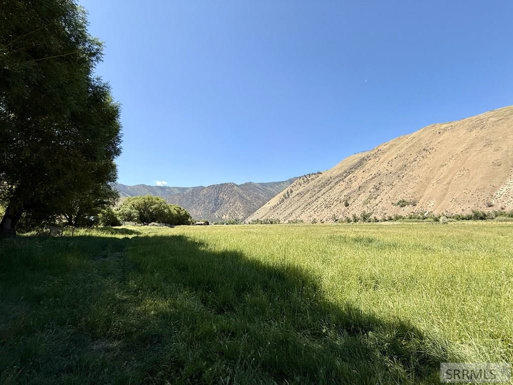 4 Mule View Lane North Fork, ID 83466 - Photo 49 of 53