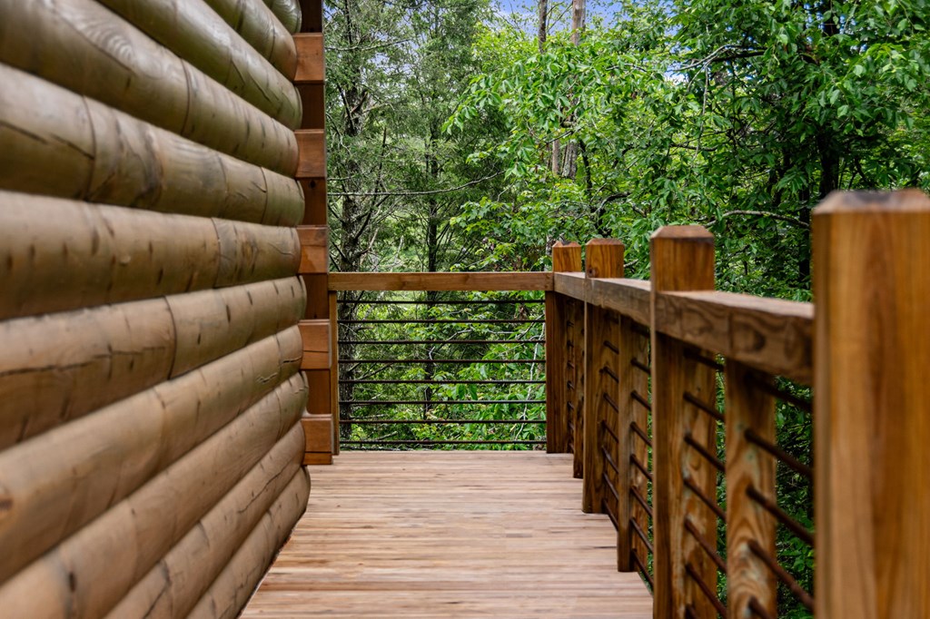 231 Conley Branch Road Blue Ridge, GA 30513 - Photo 9 of 52 Gallery Image 9