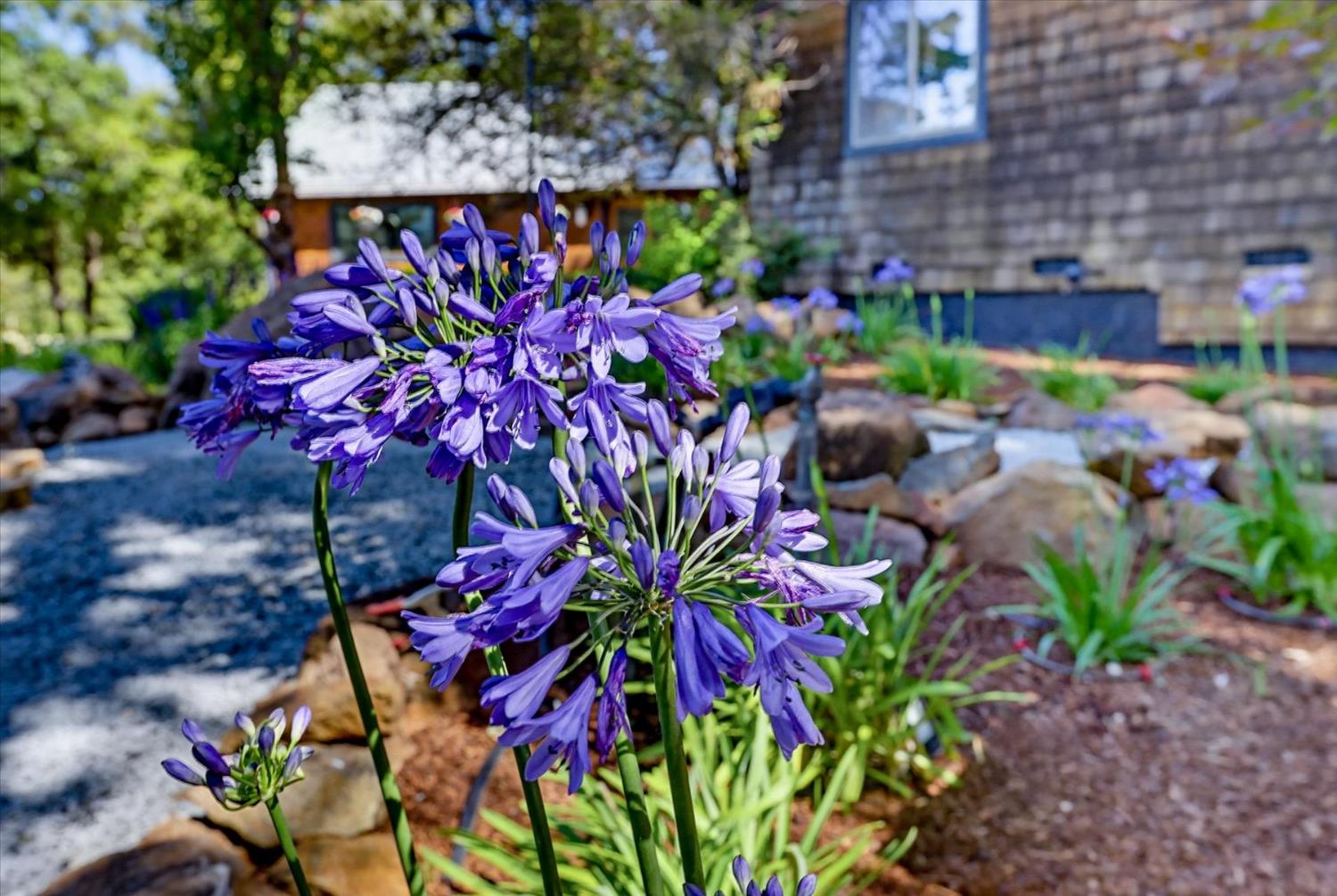 20111 Tanglewood Road Grass Valley, CA 95945 - Photo 83 of 93