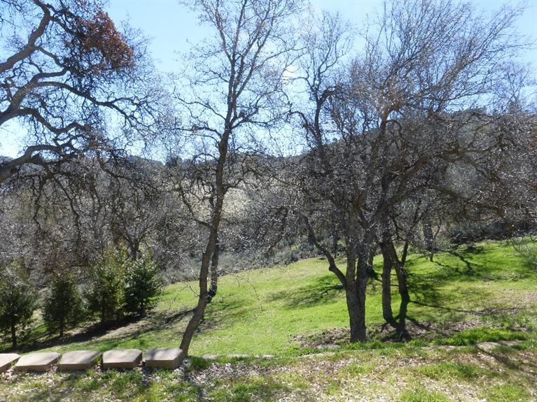 30566 Fox Ridge Court Tehachapi, CA 93561 - Photo 39 of 41 Gallery Image 39