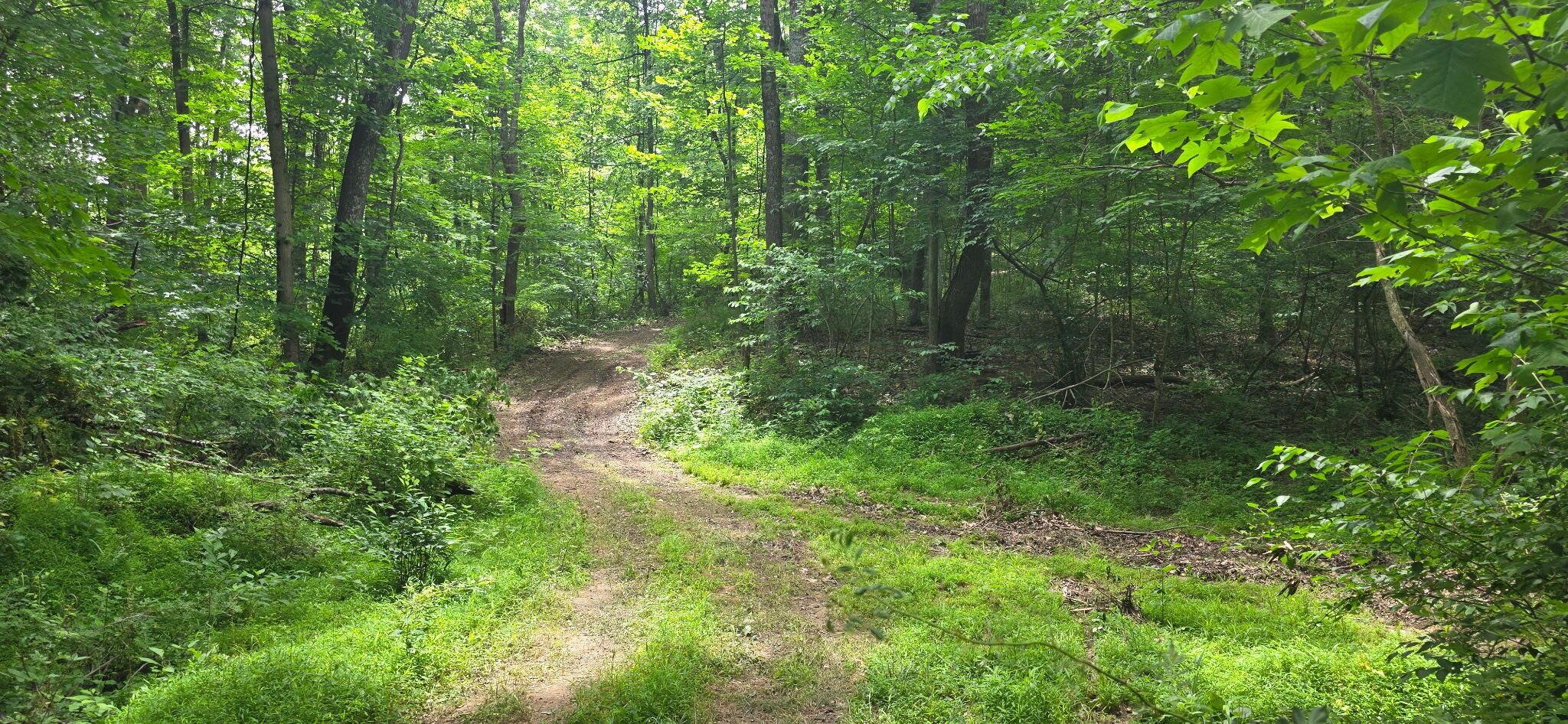 2709 Arter Road Southwest Lancaster, OH 43130 - Photo 12 of 39