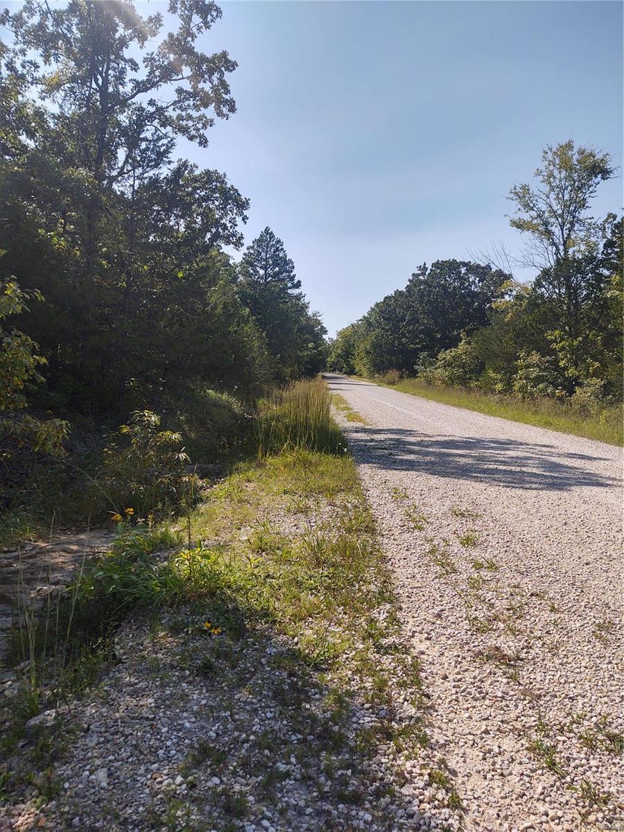 0 Rue Celeste Bonne Terre, MO 63628 - Photo 5 of 9