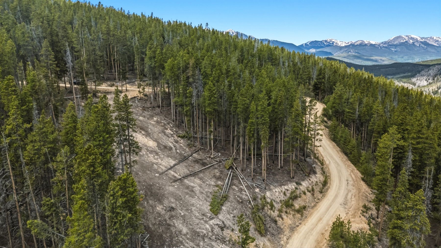 653 Summit Gulch Road Breckenridge, CO 80424 - Photo 8 of 18